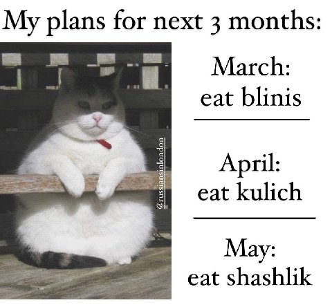 My plans for next 3 months March: eat blinis April: eat kulich Мау: eat shashlik