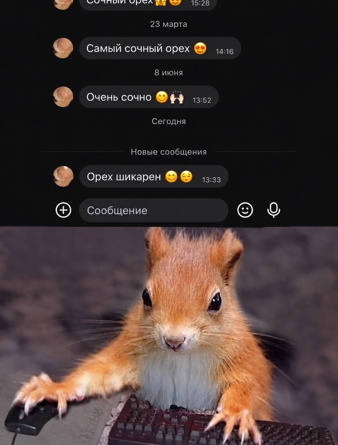 15:28 23 марта Самый сочный орех 8 июня Очень сочно Сегодня Новые сообщения Орех шикарен Сообщение о® Sev’
