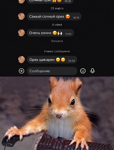 15:28 23 марта Самый сочный орех 8 июня Очень сочно Сегодня Новые сообщения Орех шикарен Сообщение о® Sev’