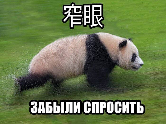 ЗАБЫЛИ СПРОСИТЬ