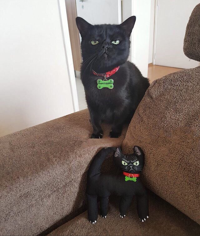 4 4 29