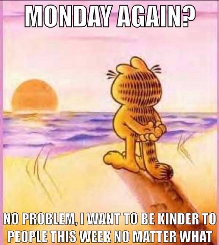 captain it’s wednesday