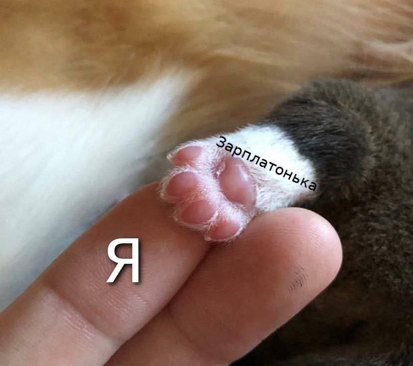 То
