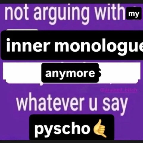 not arguing inner monologue whatever say pyschoé