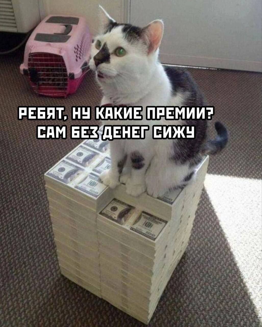РЕБЯТ, НУ КАКИЕ ПЕЕМИИ? САМ BES ДЕНЕГ СИЖУ