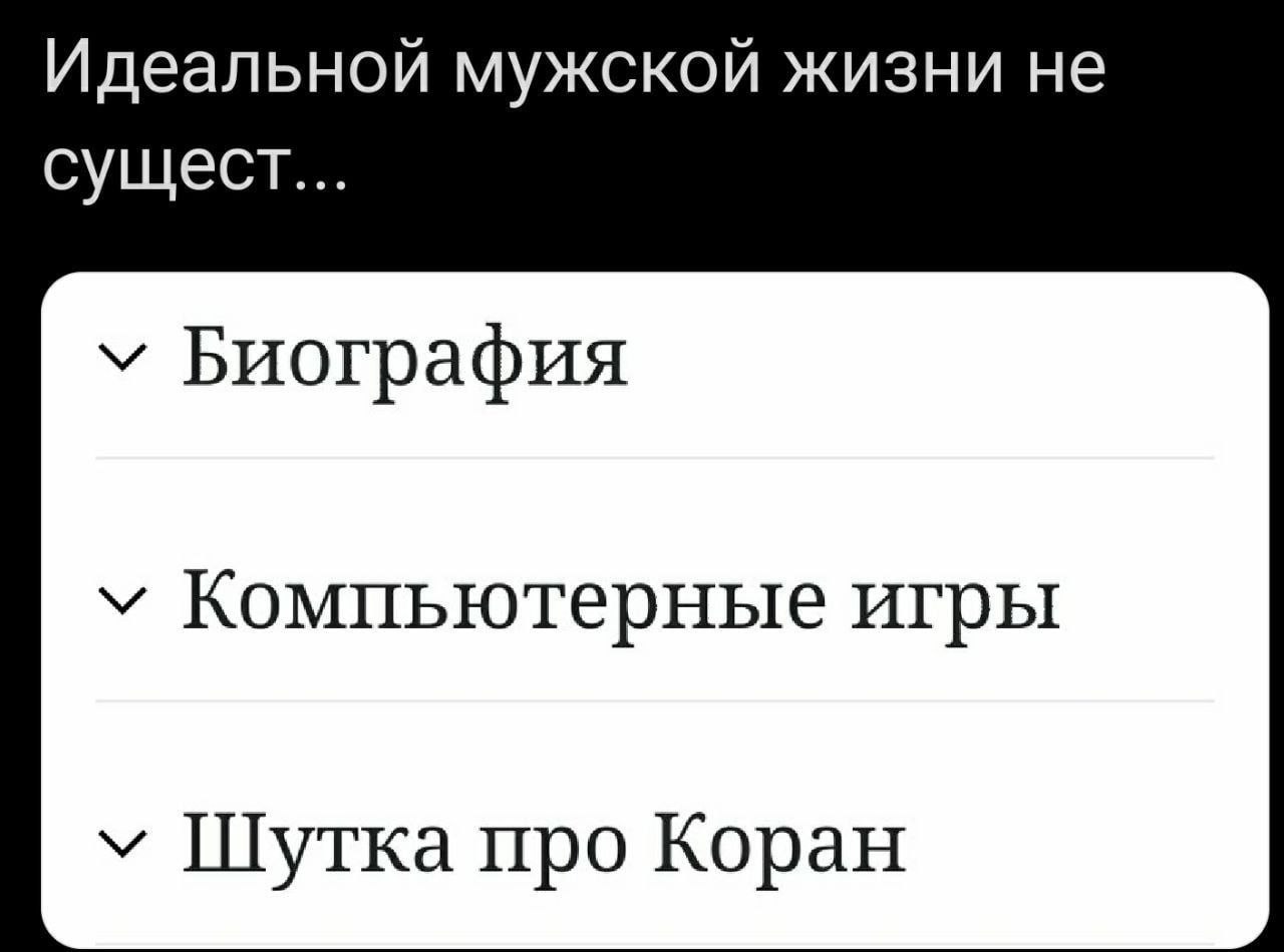 Идеальной мужской жизни не сущест... Биография у Компьютерные игры у Шутка про Коран