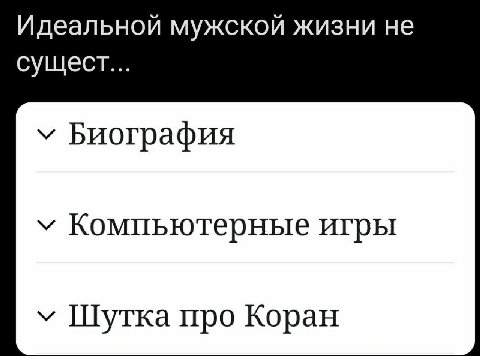 Идеальной мужской жизни не сущест... Биография у Компьютерные игры у Шутка про Коран