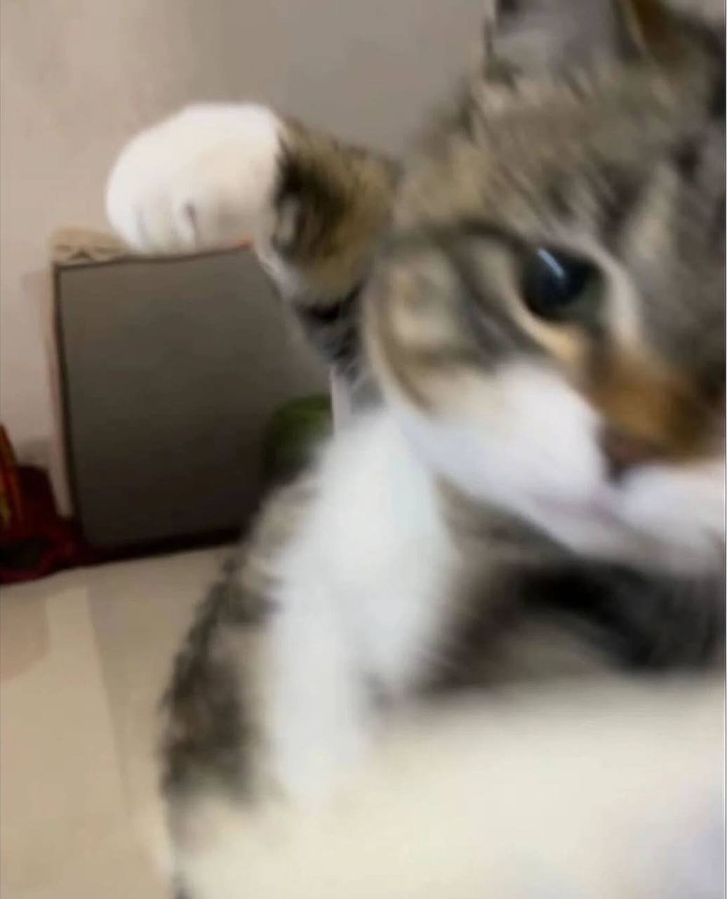 у