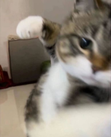 у