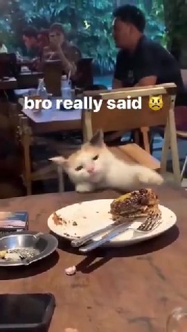 bro really said
