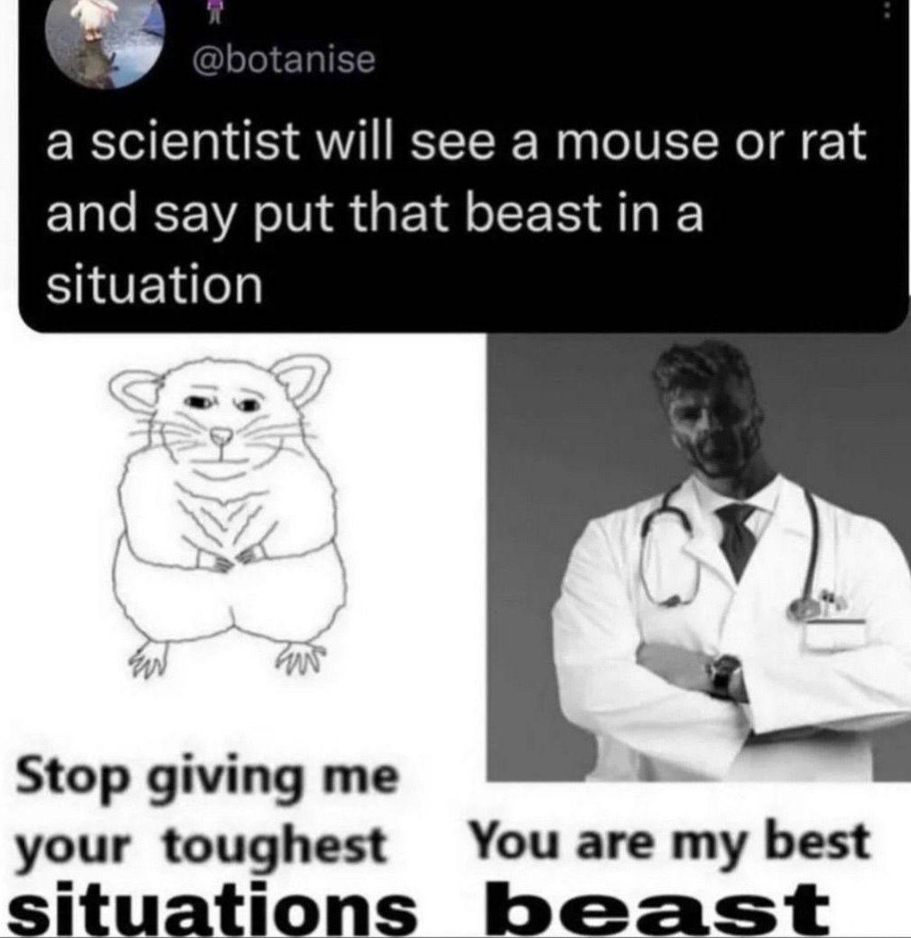a scientist will see a mouse or rat and say put that beast а situation Stop giving me your toughest You are my best situations beast