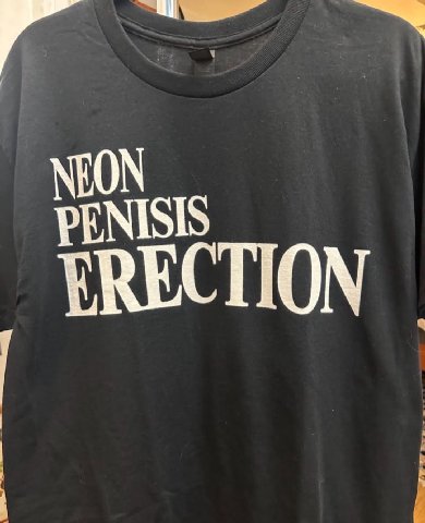 ERECTION