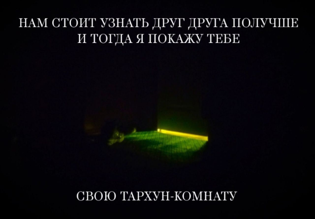 НАМ СТОИТ УЗНАТЬ ДРУГ ДРУГА ПОЛУЧШЕ И ТОГДА Я ПОКАЖУ ТЕБЕ СВОЮ ТАРХУН-КОМНАТУ