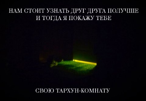 НАМ СТОИТ УЗНАТЬ ДРУГ ДРУГА ПОЛУЧШЕ И ТОГДА Я ПОКАЖУ ТЕБЕ СВОЮ ТАРХУН-КОМНАТУ