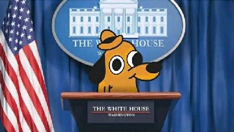 THE WHITE HOUSE WASHINGTON