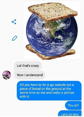 4 а a Lol that's crazy Now understand All you have to is outside out a piece of bread on the ground at the same time as me and really a picture with it. Let's this