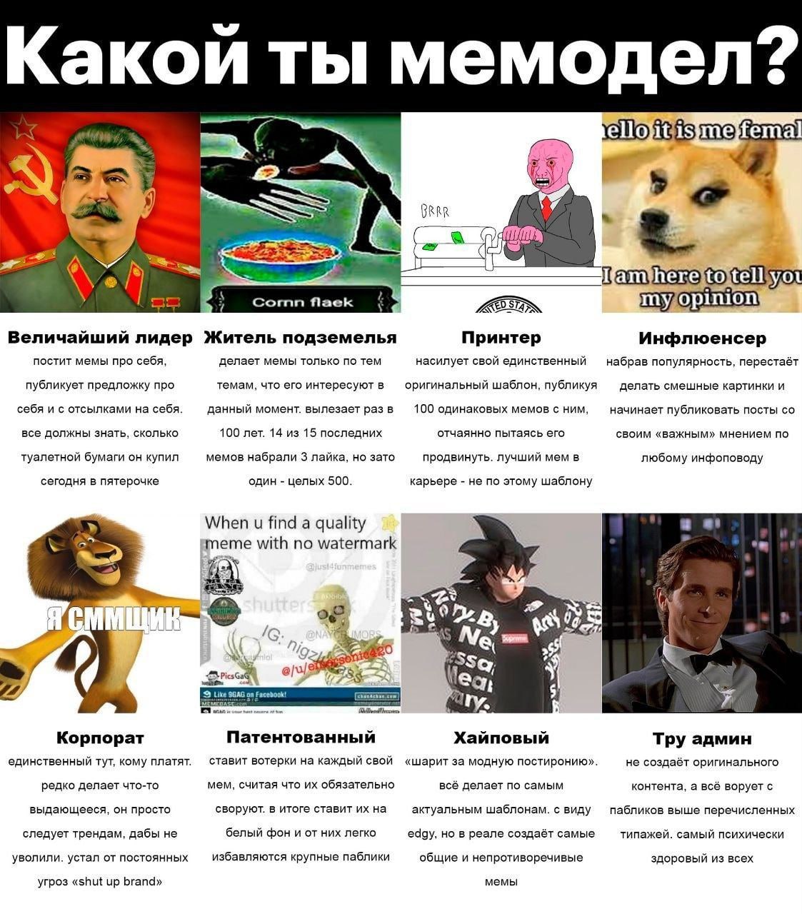 Какой ты мемодел? А BRRR we or VEIN Величайший лидер Житель подземелья Принтер Инфлюенсер постит мемы про себя, делает мемы только по тем насилует свой единственный набрав популярность, перестаёт публ