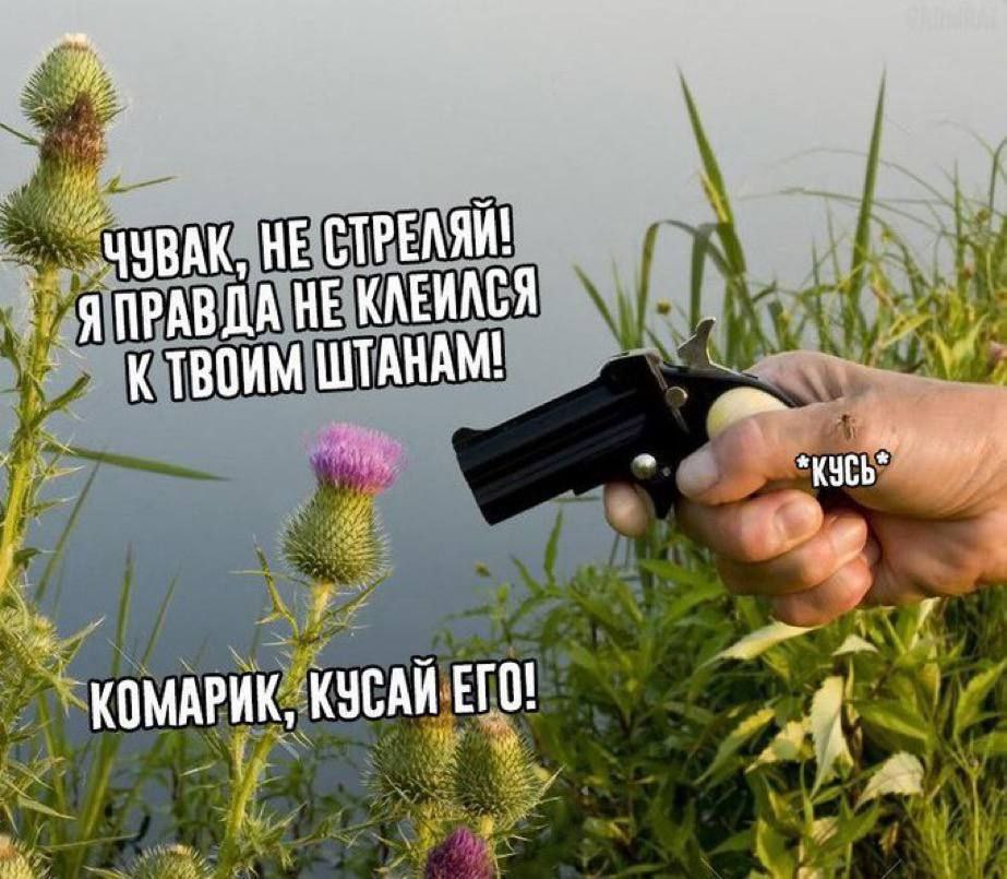 HE СТРЕЛЯЙ! я ПРАВДА HE KAEMACA К ТВОИМ КОМАРИК, КУСАЙ ETO!