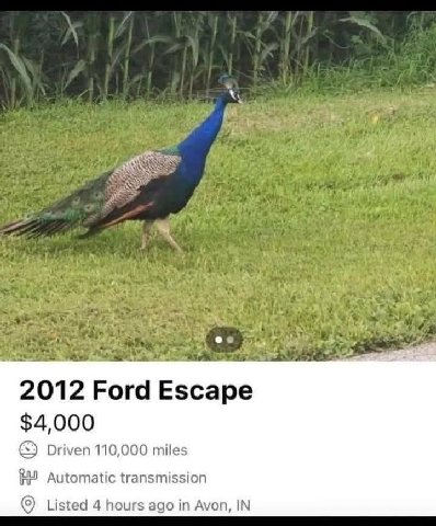2012 Ford Escape $4,000 Driven 110,000 miles Automatic transmission Listed 4 hours ago in Avon, IN