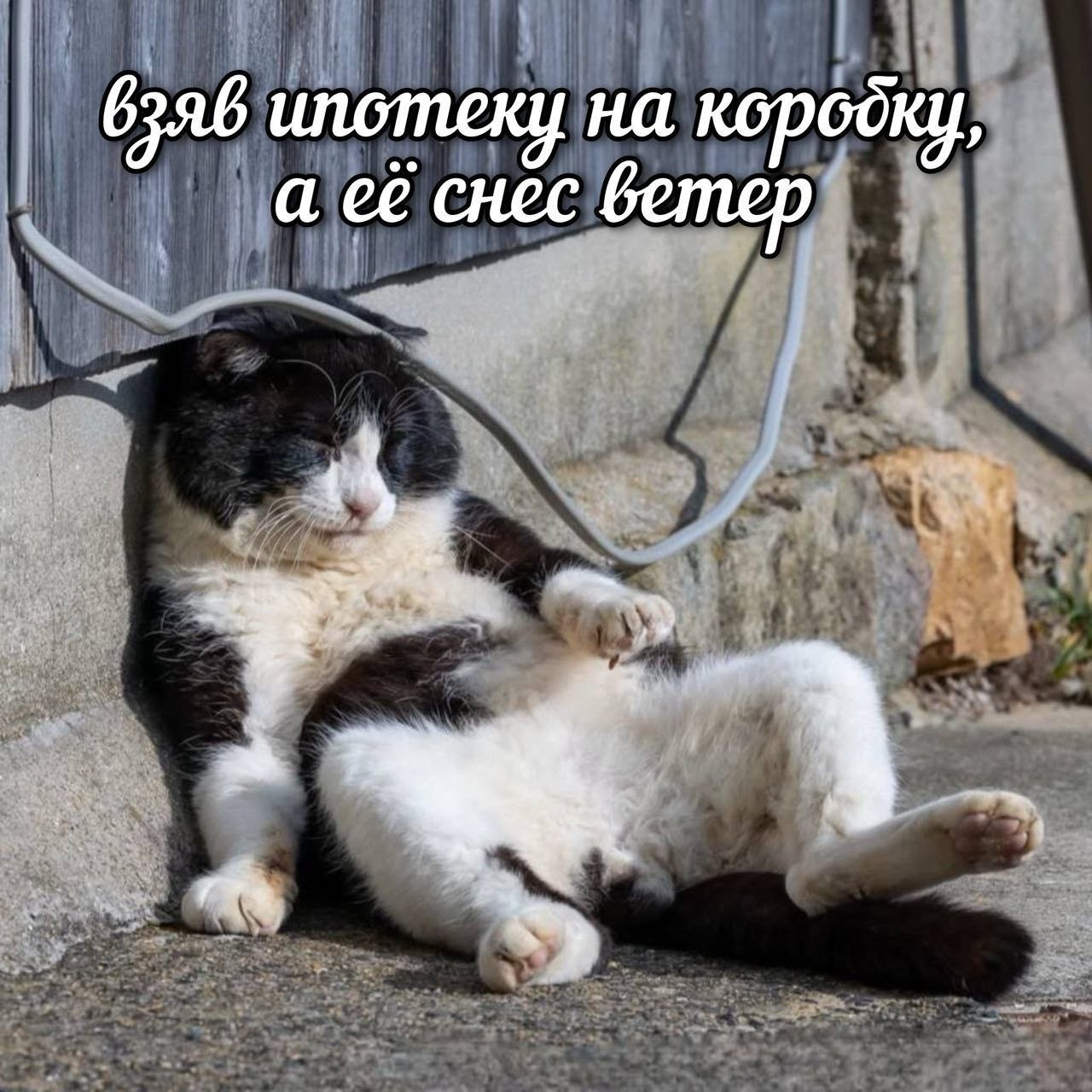 62.906 ипотеку на KOPGOKY, а её снес бетер 4 ^7