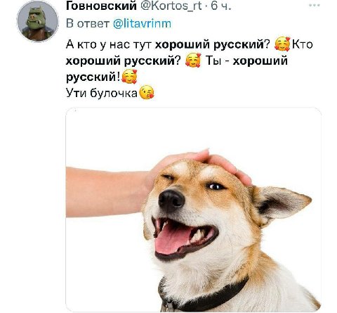 Говновский @Kortos В ответ @litavrinm А нас тут хороший русский? Кто хороший русский? Ты хороший русский! Ути
