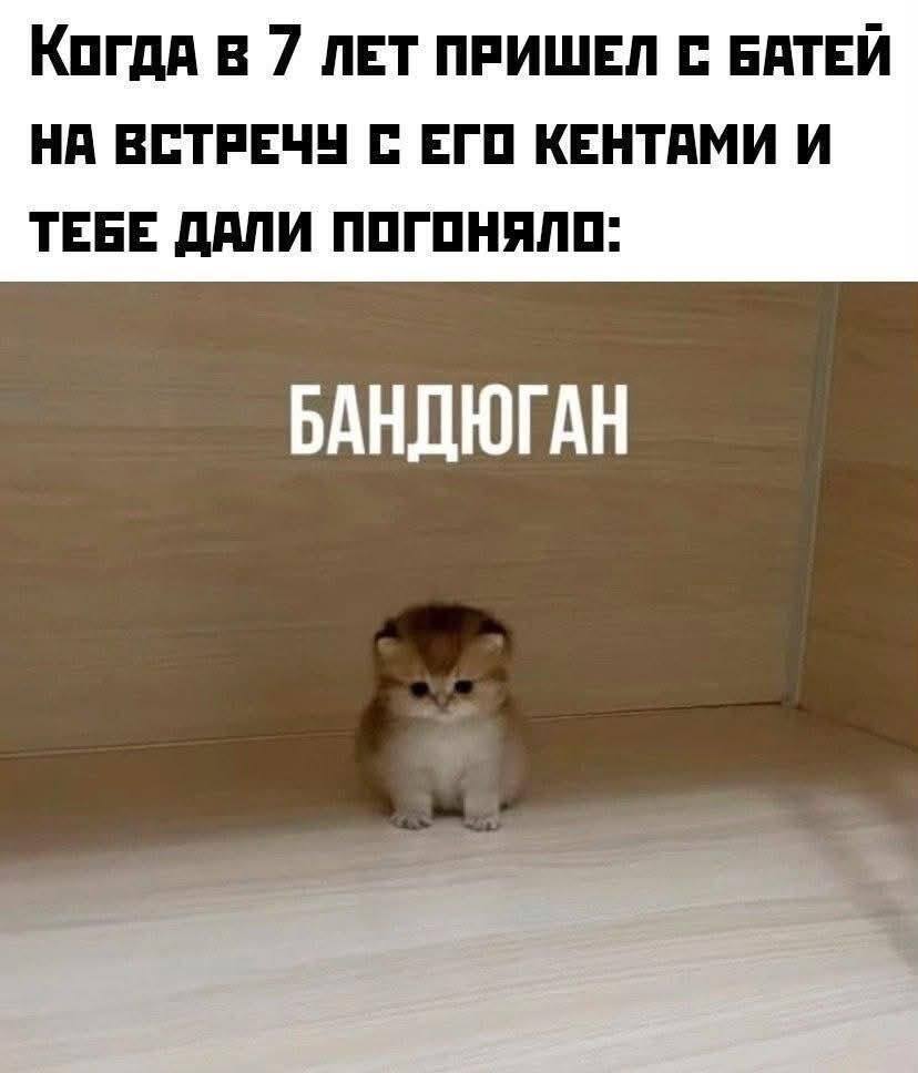 КОГДА В 7 ЛЕТ ПРИШЕЛ С БАТЕЙ НА ВСТРЕЧУ С ЕГО КЕНТАМИ И ТЕБЕ ДАЛИ ПОГОНЯЛО: БАНДЮГАН