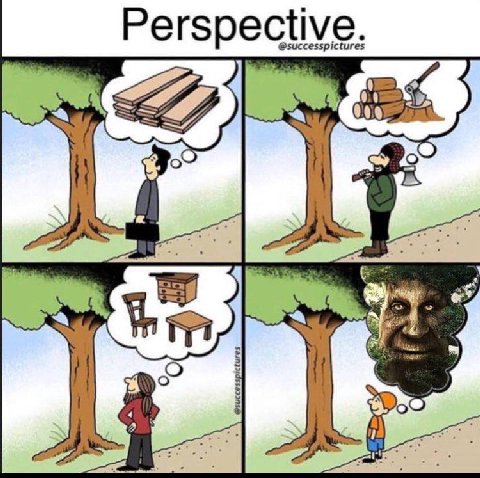 Perspect у