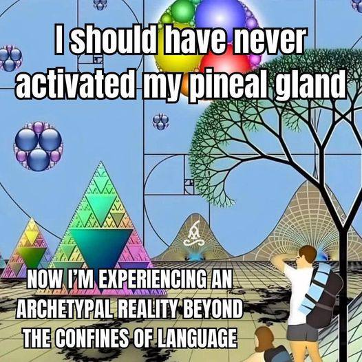 a activated gland EXPERIENCING ARCHETYPAL REALITY BEYOND THE CONFINES OF LANGUAGE
