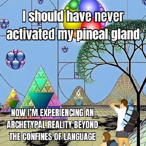 a activated gland EXPERIENCING ARCHETYPAL REALITY BEYOND THE CONFINES OF LANGUAGE