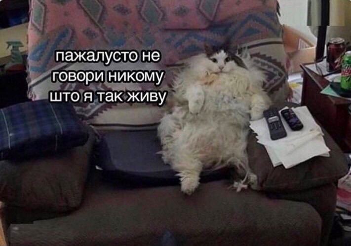 пажалусто не говори никому што я так живу