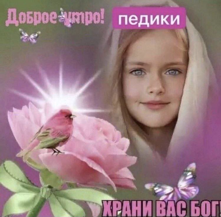 педики