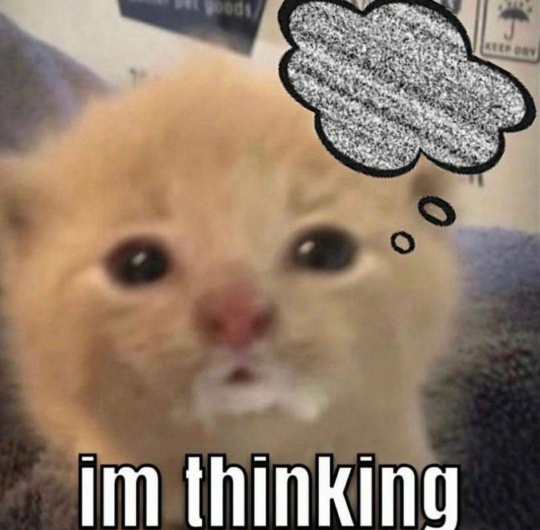 thinking