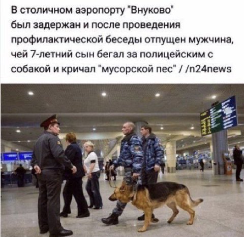 В столичном аэропорту "Внуково" был задержан и после проведения профилактической беседы отпущен мужчина, чей 7-летний сын бегал за полицейским с собакой и кричал "мусорской пес" /n24news a ote
