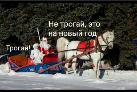 Не трогай, это „На новый год Трогай!