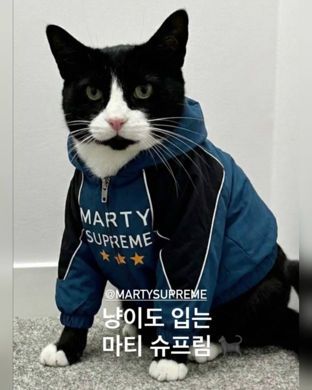 MART ARTYSURREME