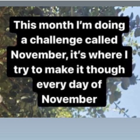 This month doing achallenge called November. it's where try to make it though every day of November