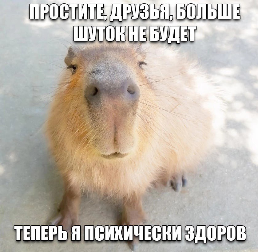 ШУТОК НЕБУДЕТ A у ТЕПЕРЬ ПСИХИЧЕСКИ ЗДОРОВ