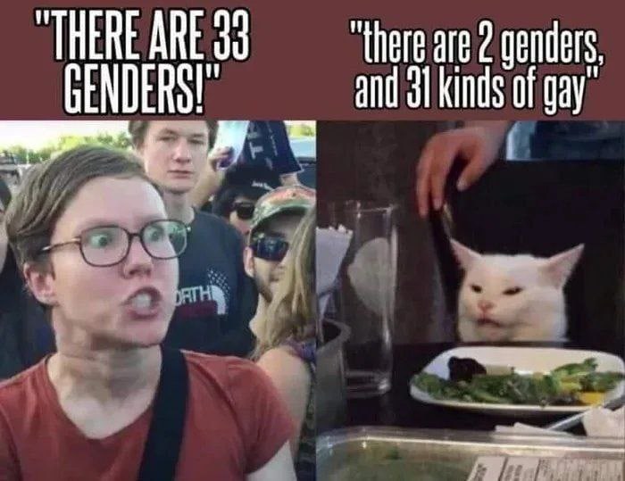 genders, GENDERS! and 31 kinds of gay