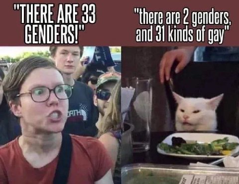 genders, GENDERS! and 31 kinds of gay