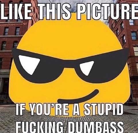 LIKE THIS PIGTURE 4 IF YOU'RE A STUPID FUCKING