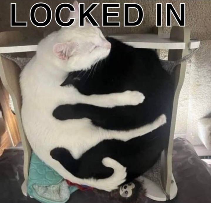 LOGKED IN