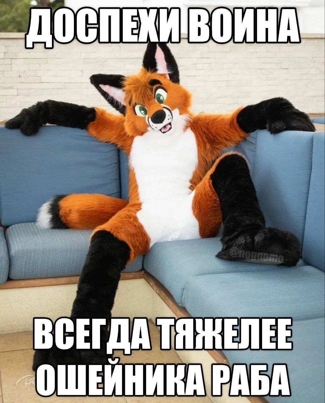 ДО ВОИНА ВСЕГД