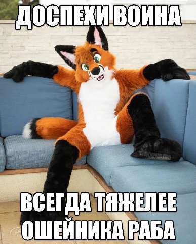 ДО ВОИНА ВСЕГД