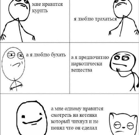 мне нравится курить я люблю трахаться люблю бухать предпочитаю наркотически вещества а мне одному нравится смотреть на котенка который чихнул и не понял что он сделал