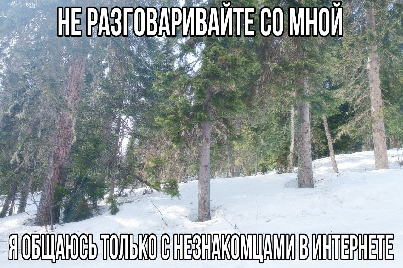 РИВАИТЕ у А я 74 of He 6%. 37! he a Я) ПАК