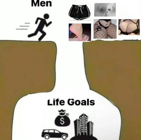 Life Goals