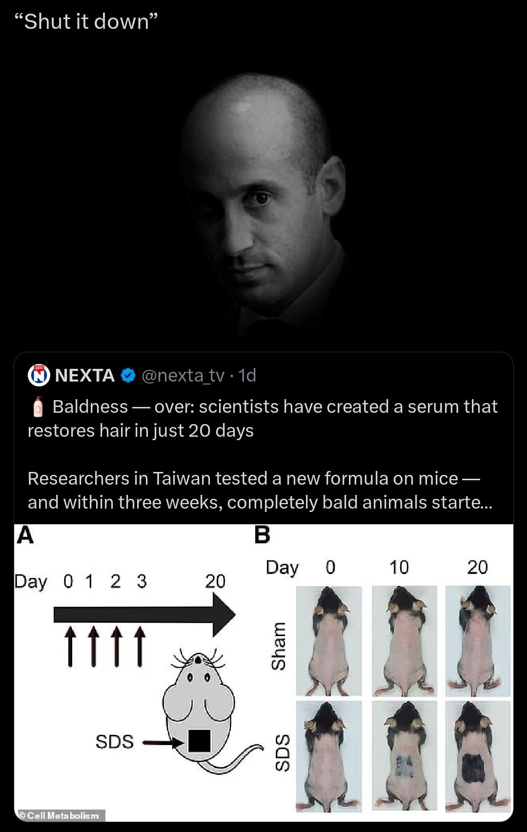“Shut it down” МЕХТА @nexta Baldness over: scientists have created a serum that restores hair in just 20 days Researchers in Taiwan tested a new formula on mice and within three weeks, completely bald