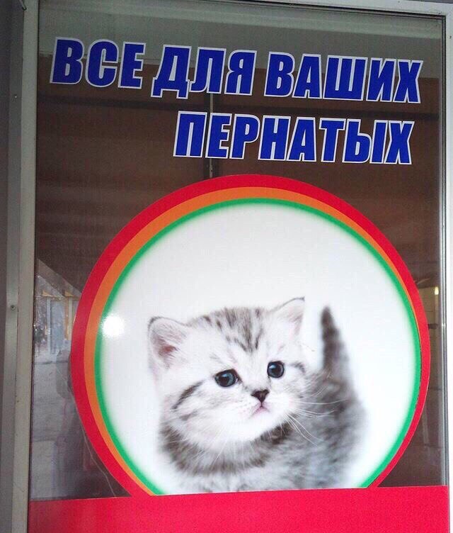 IGE ДЛЯ ВАШИХ. A