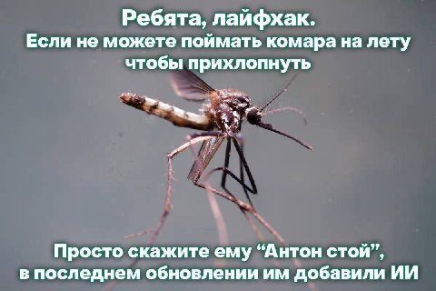 Ребята, лайфхак. Если не можете поймать комара на лету чтобы прихлопнуть Просто скажите ему “Антон стой”, в последнем обновлении добавили