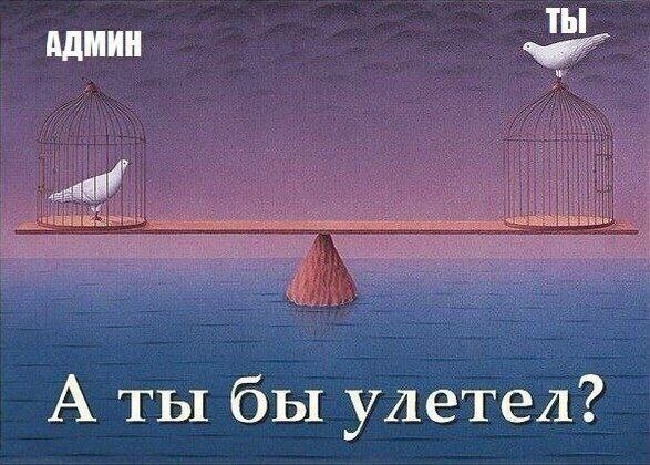 АДМИН ТЫ А ты бы улетел?